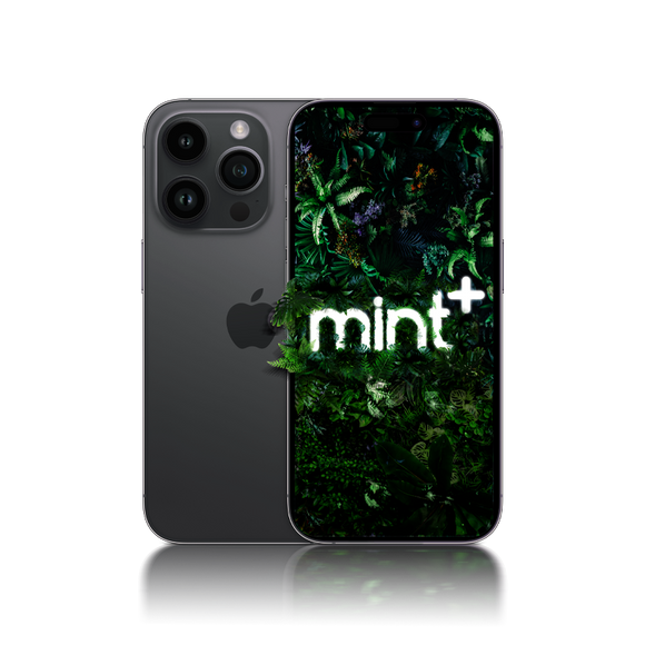 <h4>iPhone 14 Pro</h4>