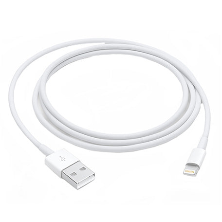 Apple 1m Cable